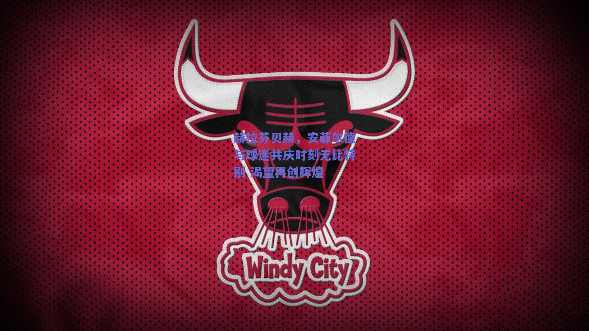 赫拉芬贝赫，安菲尔德与球迷共庆时刻无比特别 渴望再创辉煌